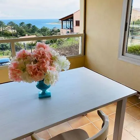 Appartement T2 U Castagnu Vue Avec Piscine.