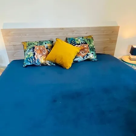 Appartement T2 U Castagnu Vue Avec Piscine.