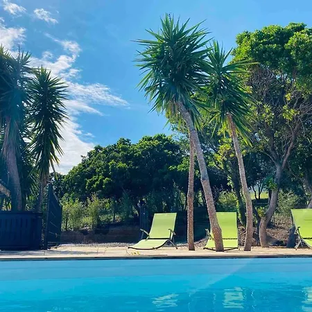 公寓 T2 U Castagnu Vue Avec Piscine. 萨里索伦札拉